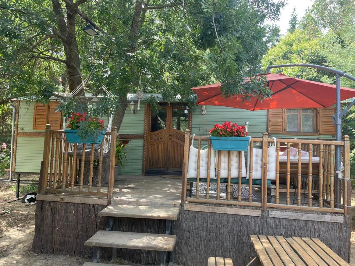 Roulotte En Bois Sud France Casa de hóspedes Le Soler Exterior foto