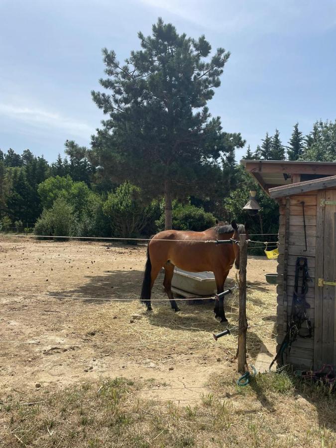 Roulotte En Bois Sud France Casa de hóspedes Le Soler Exterior foto