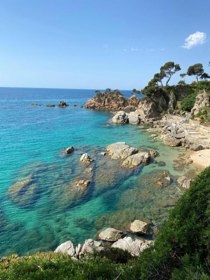 Roulotte En Bois Sud France Casa de hóspedes Le Soler Exterior foto