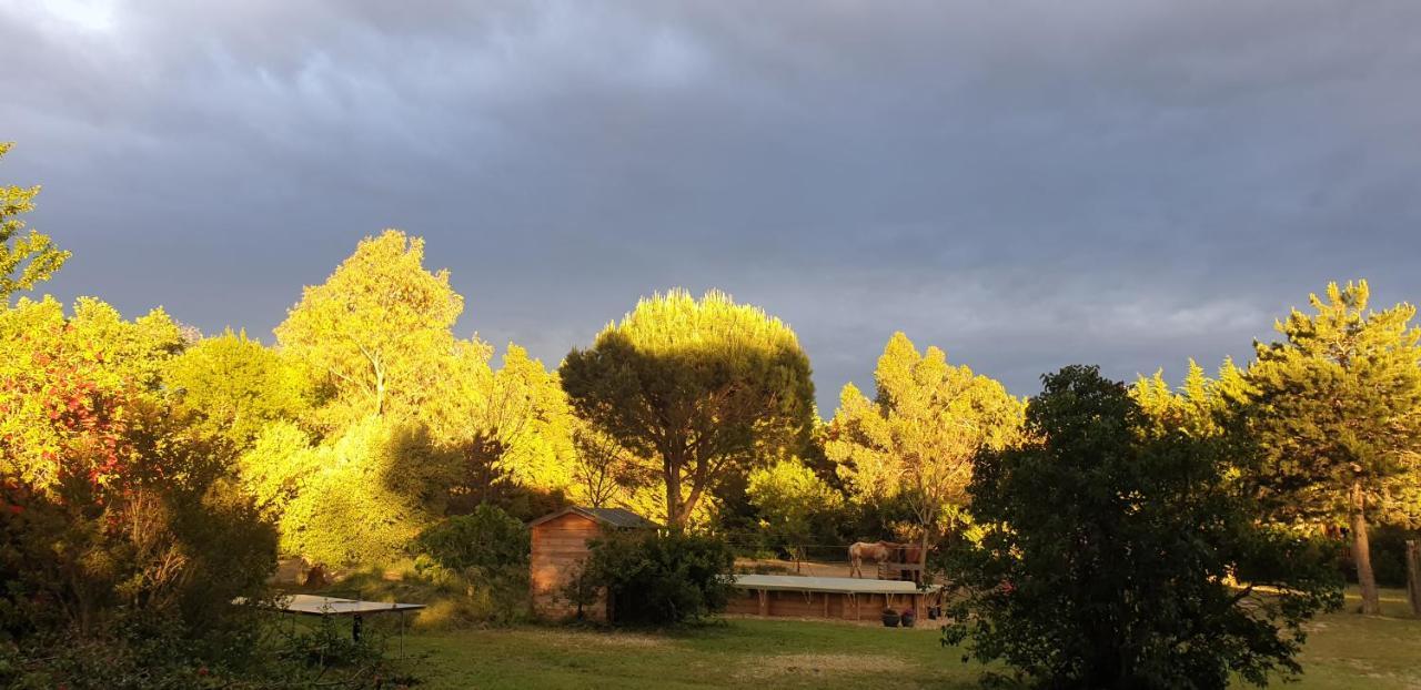 Roulotte En Bois Sud France Casa de hóspedes Le Soler Exterior foto