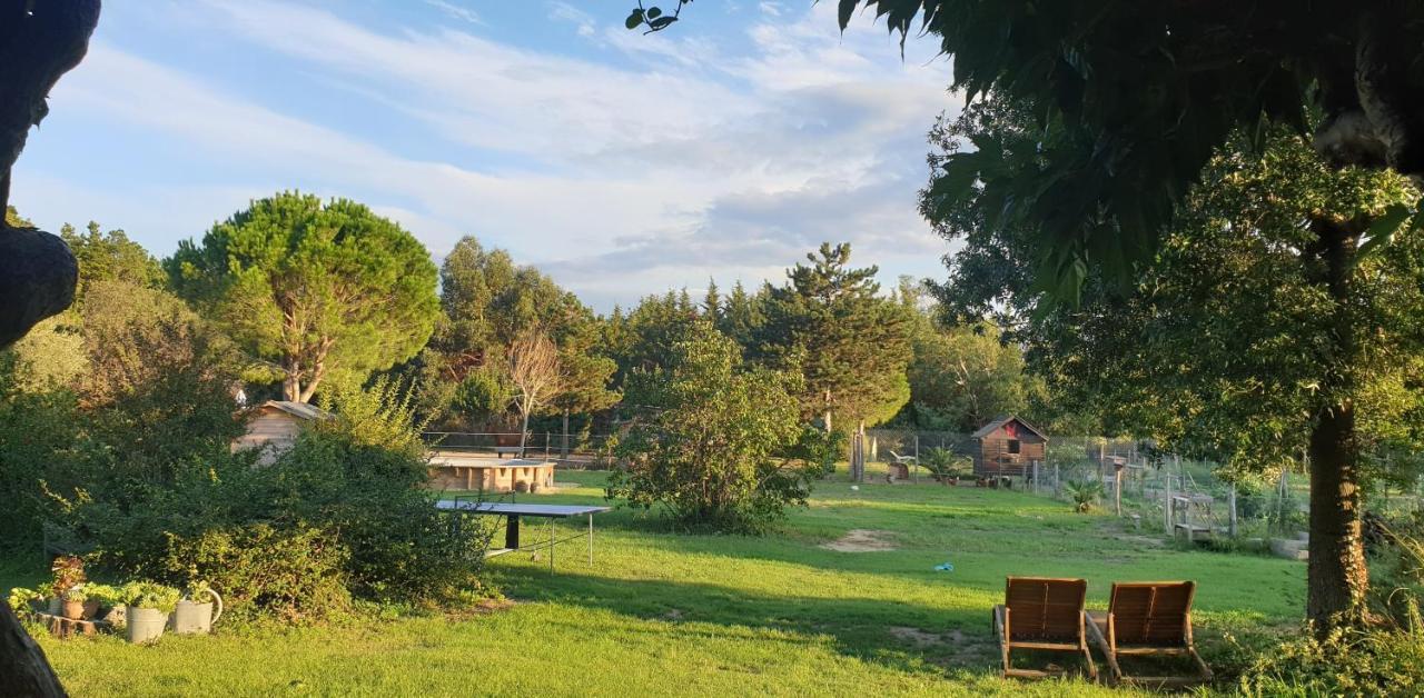 Roulotte En Bois Sud France Casa de hóspedes Le Soler Exterior foto